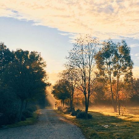 Gite Au Haras Des Arts Saint-Aubin-de-Bonneval Екстер'єр фото